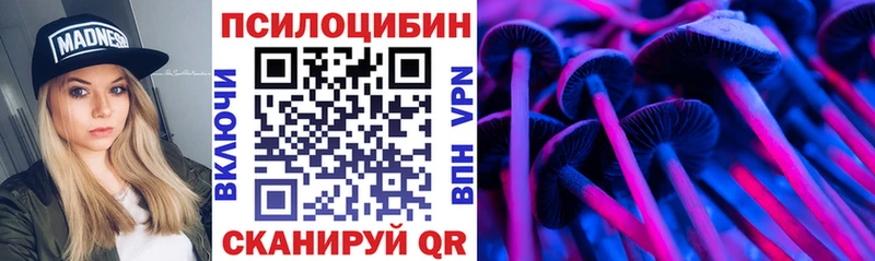 Купить закладки  Гороховец  Псилоцибиновые грибы Psilocybine cubensis 