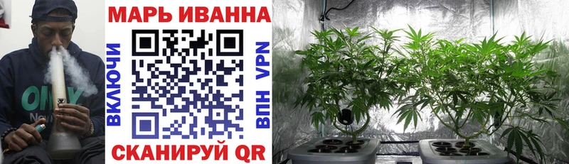 Купить где  Гороховец  Каннабис OG Kush 